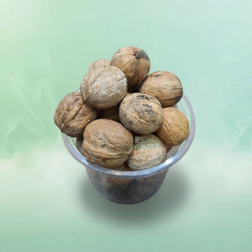 گردوی درشت با پوست سنتی